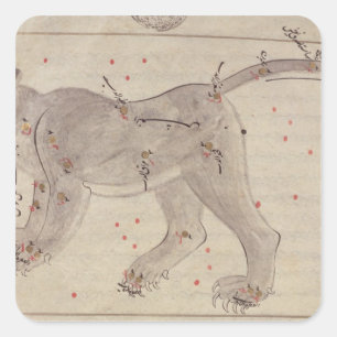 Great Bear, from Book of Stars after El Hussein Square Sticker