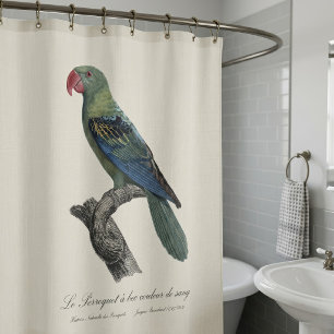 Great-Billed Parrot, Tanygnathus Megalorynchos