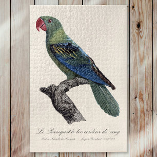 Great-Billed Parrot, Tanygnathus Megalorynchos Jigsaw Puzzle