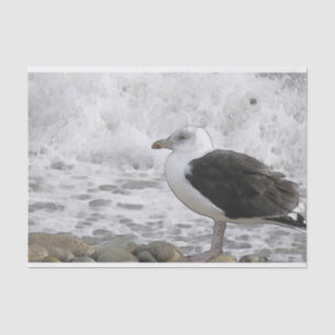 Great Black-Backed Gull Tissue Paper