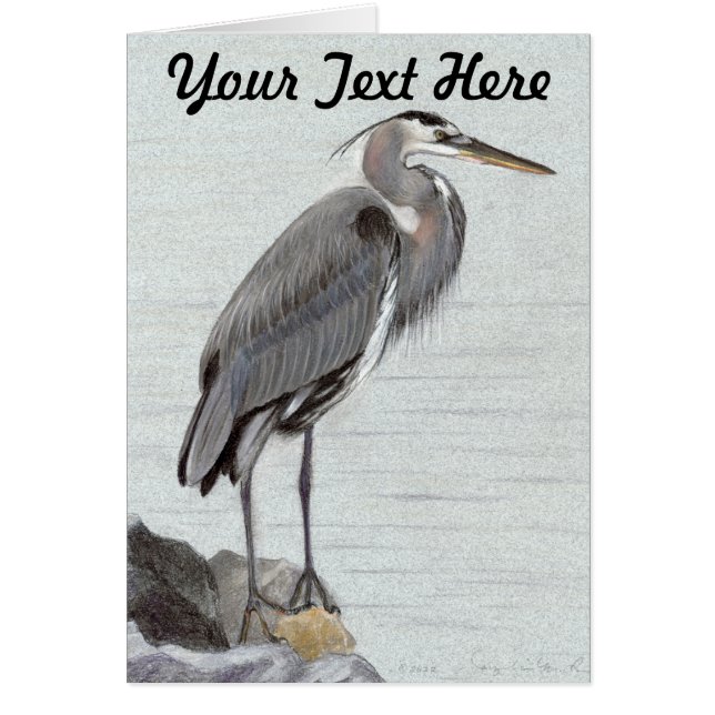 Great Blue Heron (Front)