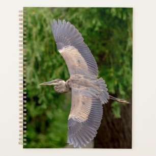 Great Blue Heron 2024 Planner