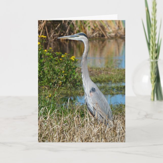 "Great Blue Heron 2." Greeting Card (Front)