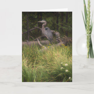 Great Blue Heron 8917 Card