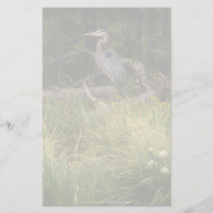 Great Blue Heron 8917 Stationery