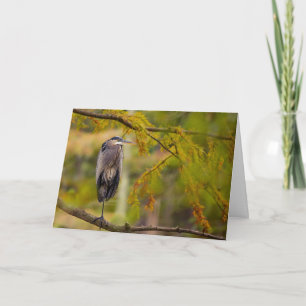 Great Blue Heron Among Fall Leaves Greeting Card
