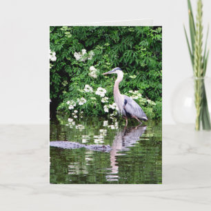 Great Blue Heron and Alligator Greeting Card