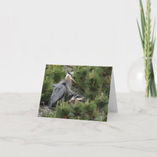 Great Blue Heron and its Babies Card