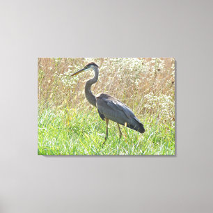 Great Blue Heron - Ardea herodias - #2 Canvas Print
