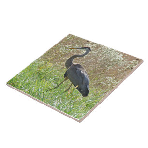 Great Blue Heron - Ardea herodias - #2 Tile