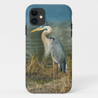 Great Blue Heron at the Lake
