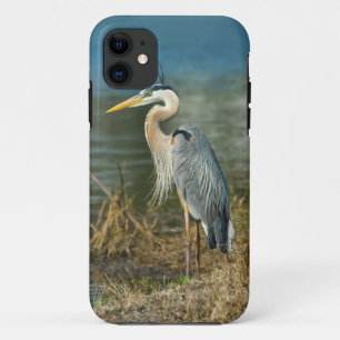 Great Blue Heron at the Lake iPhone 11 Case