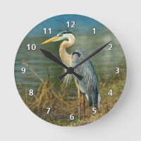 Great Blue Heron at the Pond