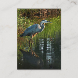 Great Blue Heron ATC Photo Card 2