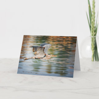 Great Blue Heron Bird  All Occasion Blank Holiday Card