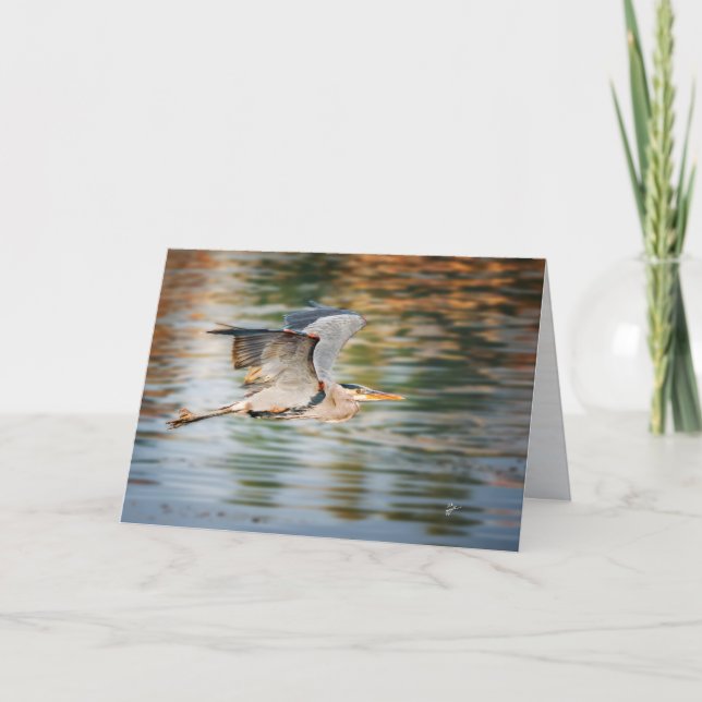 Great Blue Heron Bird  All Occasion Blank Holiday Card (Front)