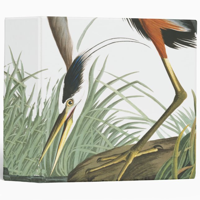 Great Blue Heron Bird Animal Wildlife Avery Binder (Front/Spine)