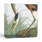 Great Blue Heron Bird Animal Wildlife Avery Binder