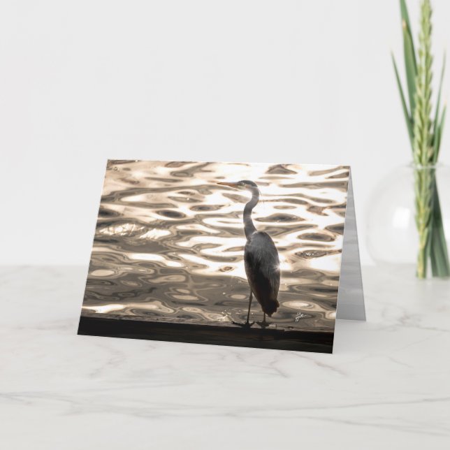 Great Blue Heron Bird At Sunset Blank Holiday Card (Front)