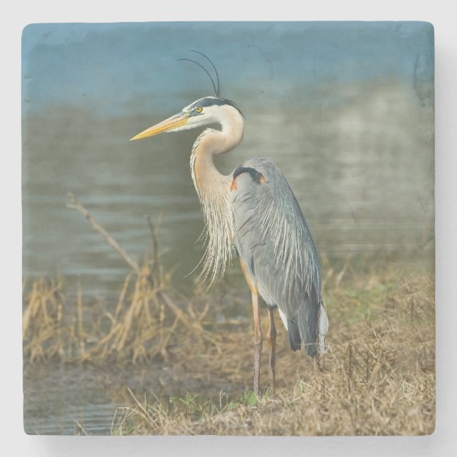 Great Blue Heron Bird Stone Coaster (Front)