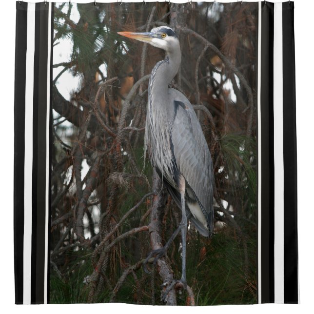 Great Blue Heron Bird Wildlife Animals Curtain (Front)