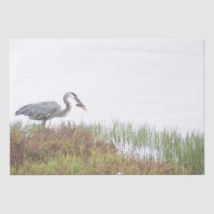 Great Blue Heron Bird Wildlife Fish Tissue Paper