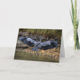 Great Blue Heron - Bird Wings Thank You Card