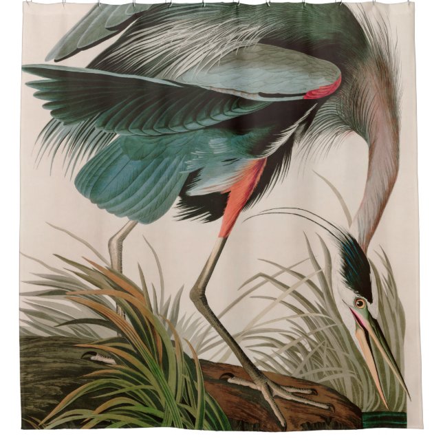 Great Blue Heron Birds of America Audubon Print (Front)