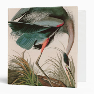 Great Blue Heron Birds of America Audubon Print Binder