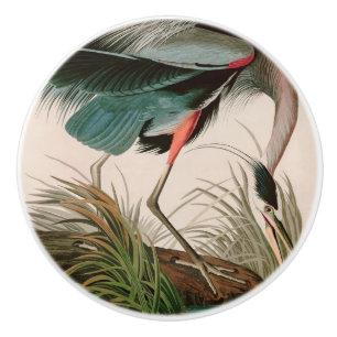 Great Blue Heron Birds of America Audubon Print Ceramic Knob