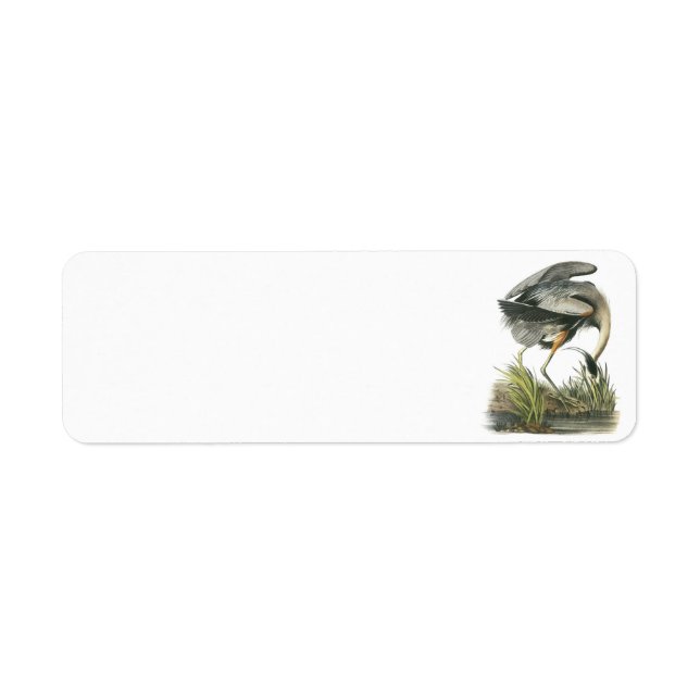 Great Blue Heron by Audubon (Front)