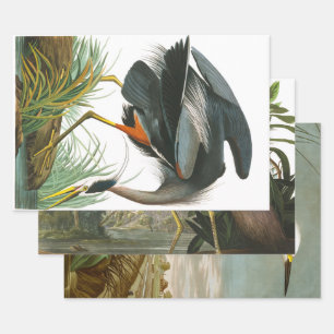 Great Blue Heron by John James Audubon Decpupage Wrapping Paper Sheet