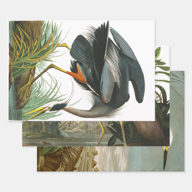 Great Blue Heron by John James Audubon Decpupage Wrapping Paper Sheet (Set)