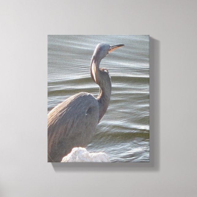 Great Blue Heron by the Water Canvas Print (Front)