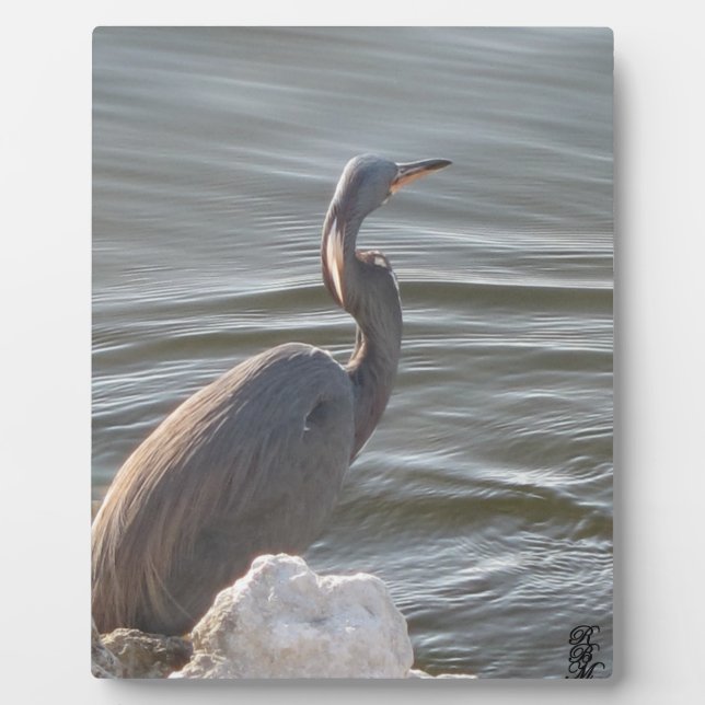 Great Blue Heron by the Water Plaque (Front)