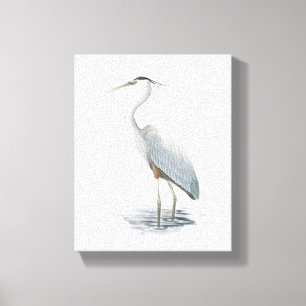Great Blue Heron Canvas Print