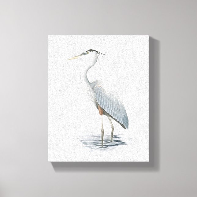 Great Blue Heron Canvas Print (Front)