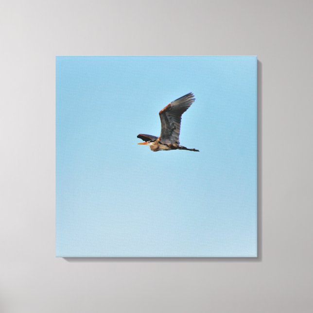 Great Blue Heron Canvas Print (Front)