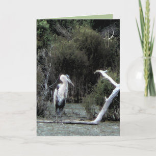 Great Blue Heron Card