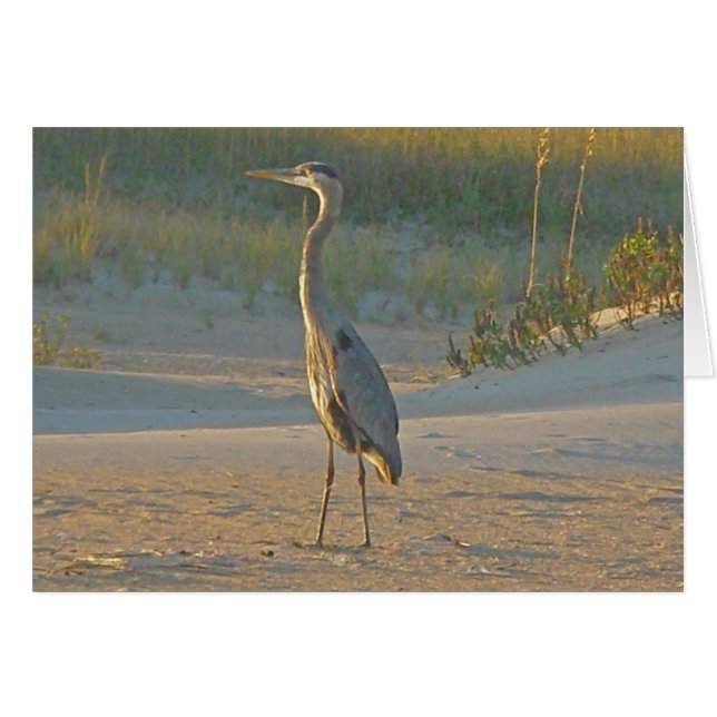 Great Blue Heron Card (Front Horizontal)