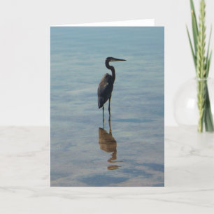 Great Blue Heron Card
