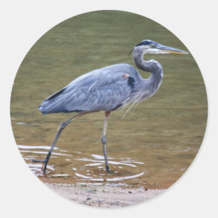 Great Blue Heron Classic Round Sticker