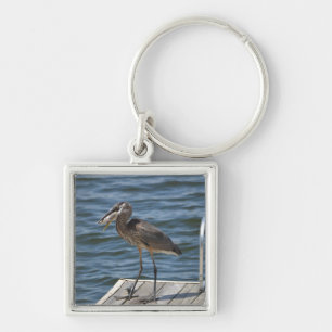 Great Blue Heron Close Up Keychain