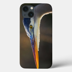 Great Blue Heron, close up portrait iPhone 13 Case