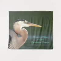 Great Blue Heron Close Up