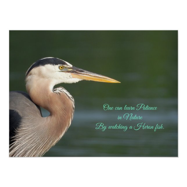 Great Blue Heron Close Up Tapestry Poster (Front)