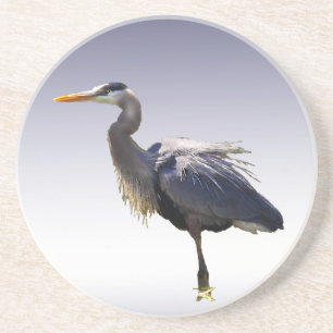 Great Blue Heron Coaster