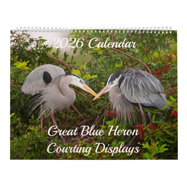 Great Blue Heron Courting Displays Calendar (Cover)