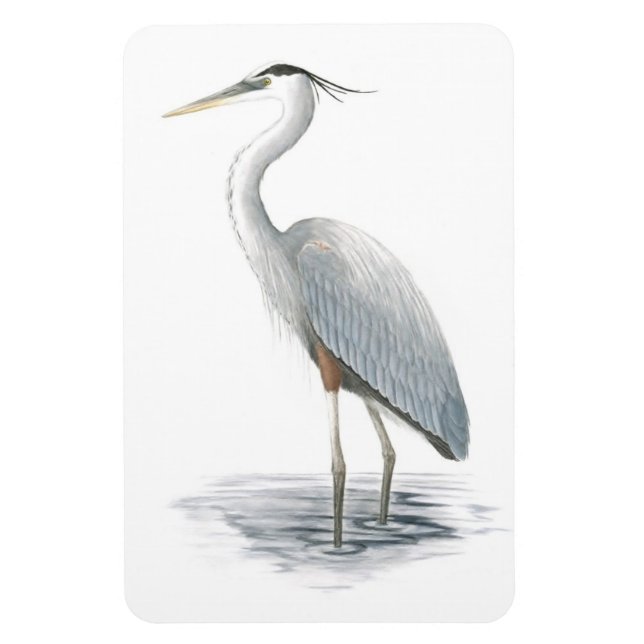 Great Blue Heron Flexi Magnet (Vertical)