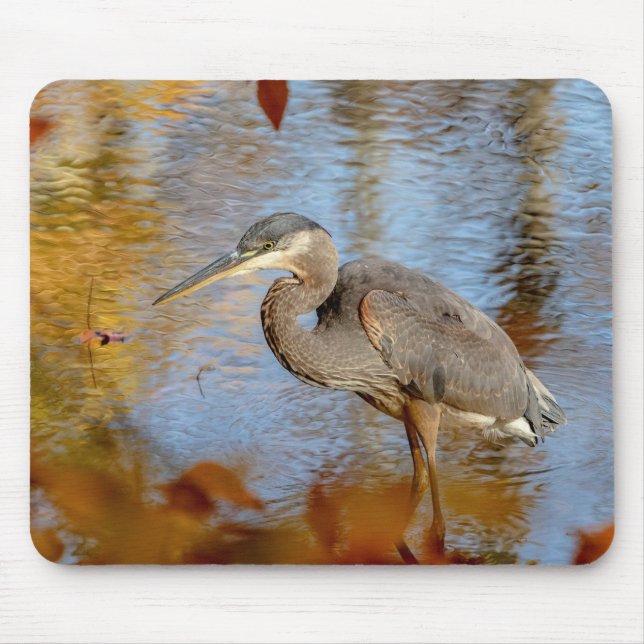 Great Blue Heron framed with fall foliage Mouse Pad (Front)
